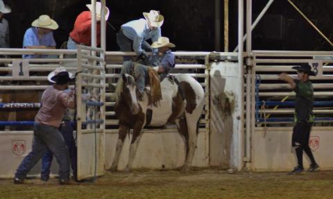 Patient at Rodeo