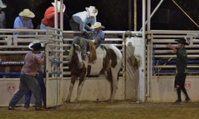 Patient at Rodeo