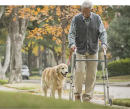 Hip and Knee Replacement Doctor icon