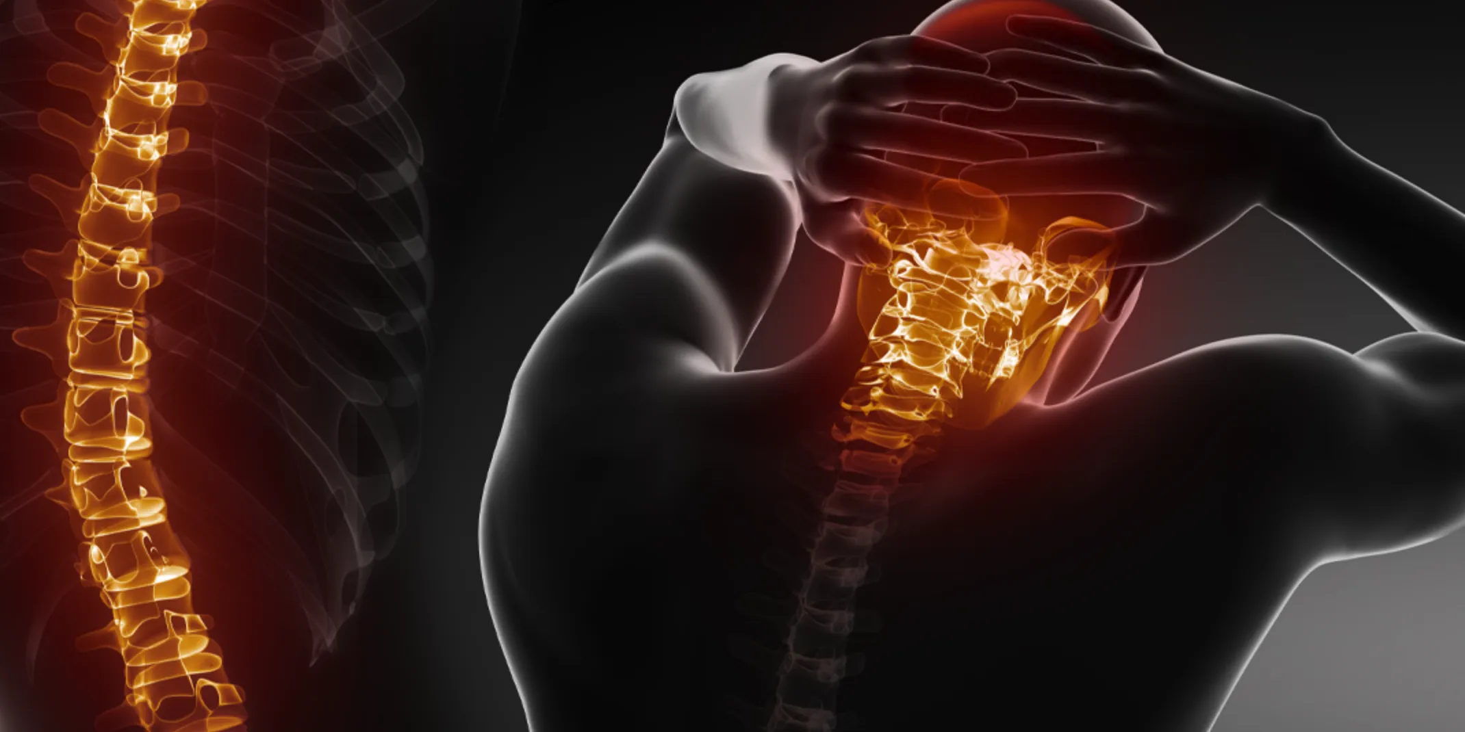 Online Guide to Back, Neck, and Spine Care