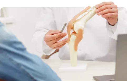 doctor showing model of hip bone