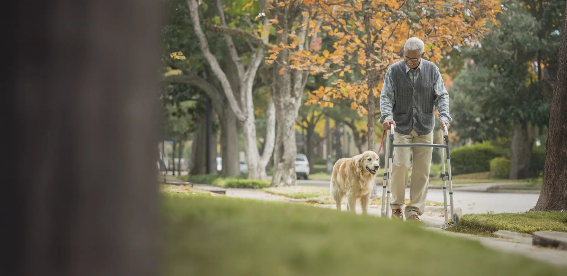 older man walking his dog